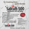 SALCULT 500 Tablet