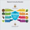 Natural Immunity Booster Tablet