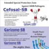 Ceftriaxone Salbactum Inection