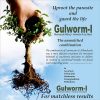 Gulworm L Tablet